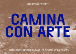 CAMINA CON ARTE